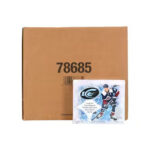 2024/25 Upper Deck Ice Hockey Hobby 24 Box Master Case